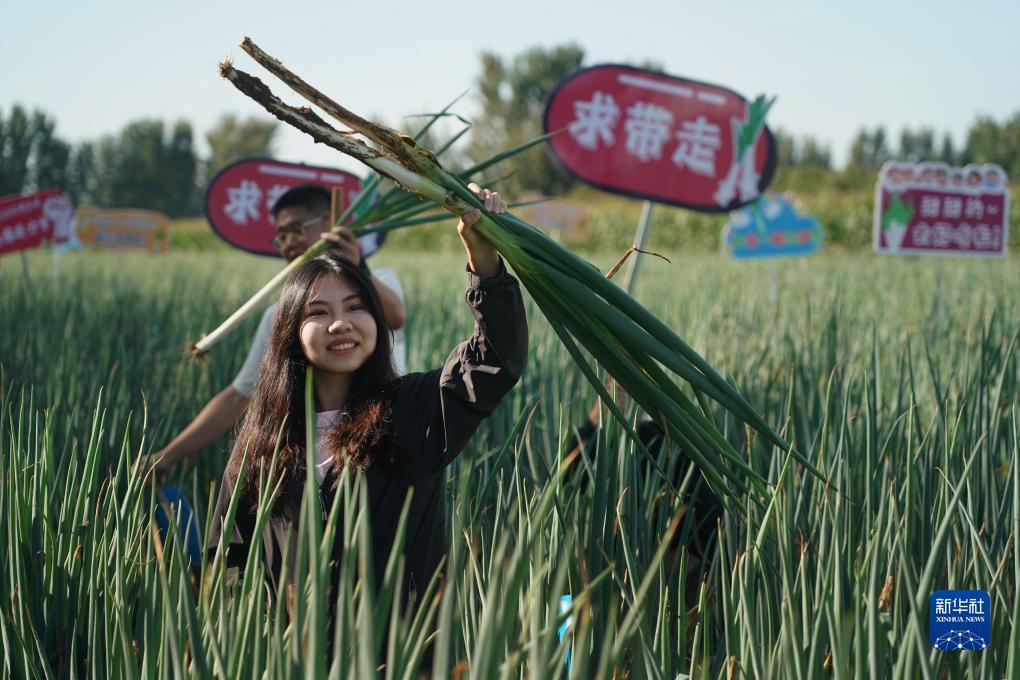 姚记捕鱼炸翻天电脑版